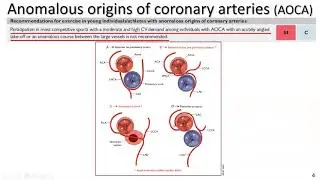 2020 European Society of Cardiology guidelines on exercise in patients with cardiovascular disease 2