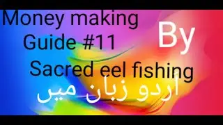 Osrs money making guide By Sacred eel fishing or How can I catch sacred eel fishing??