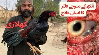 Ankh Ka Filter Agar Sooj Jaye Ya Zakhmi ho Jaye Oska ilaj