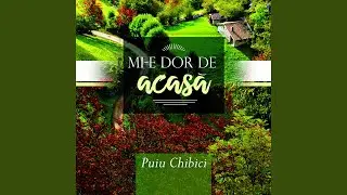 Când plâng Isus
