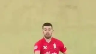 Cheating from Matthew Wade while he stopped Mark Wood from catching the ball | England vs Australia