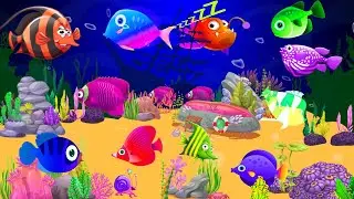 Mozart Brahms Lullaby🐠 Sleep Music for Babies ♫ Babies Fall Asleep Quickly After 3 Minutes #Sleep#41