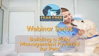 Building a Pain Management Pyramid for Pets