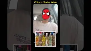 The Snake Wine 🐍🍷 #shorts #youtubeshorts #shortsfeed