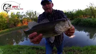 Bass Fishing a Top Water Popper. Tips from MFC's Andrew Bebb