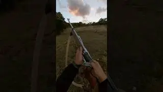 410/36 Cal Revolver! #rdr2 #rossi #ruleta #classic #america