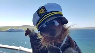 Cruise ship royalty - Eddie the Bat