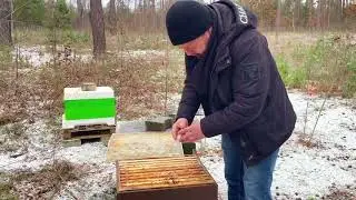 Oxals&auml;ure Behandlung #oxals&auml;ure # bee # beekeeper #beekeeperslife #arıcılık #workerbee #beekeeping 