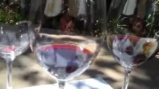 Georis  Wine Tasting