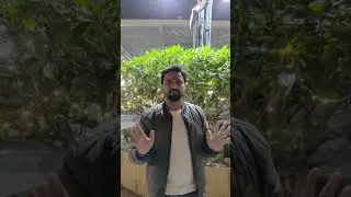 #LetsTalk #Network Marketing Truth Diwali Course Marathi Comedy 