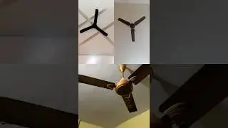 Ceiling fan funny | #shorts #ytshorts #shortsfeed #ceilingfan #fan