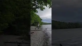 Pike fishing Coniston water