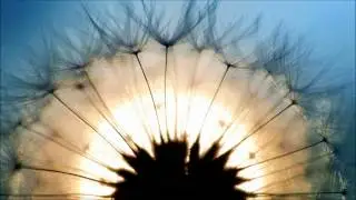 Basicnoise - Agravic Part I (Basicnoise Remix)
