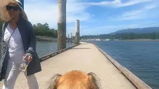 Vancouver Canada Really Sucks They Vote 4 Druggies then 😒 They Don't Want Them in Their Hood