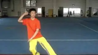 Wu yan nan- taijiquan