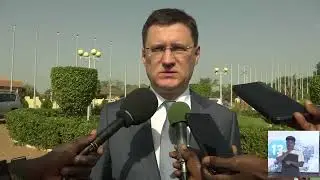 Премьер-министр Буркина-Фасо дал аудиенцию российской делегации