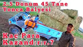 2.5 Dönüm Yerden 45 Tane Balye Çıktı Kaç Para Kazandırır.?