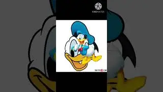 The Donald Duck Theme