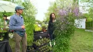 Jardins d'Ile de France : Courson vu par Alexandra Jansen
