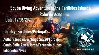 Scuba Diving Adventure in the Farilhões Islands. Peniche/Portugal - Rabo de Asno Cave Diving