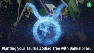 Planting your Taurus Zodiac Tree with SankalpTaru