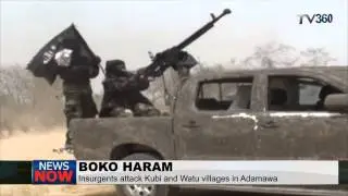 Boko Haram attack Adamawa villages, razes down houses
