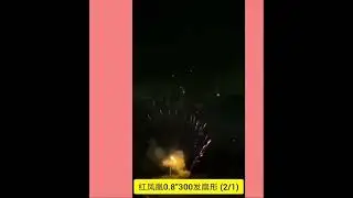 Fireworks-0.8 inch 300 shots 0.8寸300发全扇型（红凤凰）