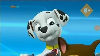 Paw Patrol Crash Part 173