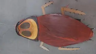 Fancy dress (part 1) Insect theme