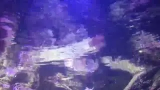 Shimmering Water