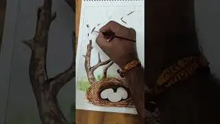 Beautiful bird painting work / water colour on paper 