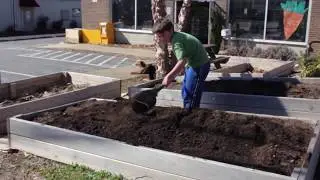 Planting Potatoes with the Trench Method