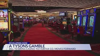 A Tyson's gamble