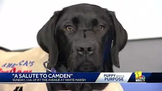 Come celebrate with WBAL-TV for 'Salute to Camden' party