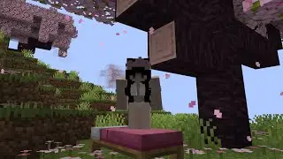 Minecraft Gender mod🌸