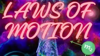 Trako - Top Of Sh$t