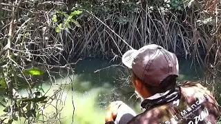 Ketika waktu mancing ikan segacor ini,,jadi lupa yang mau pulang mas bro