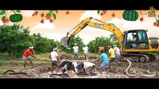 Cow Trapped in Garden Pit Surrounded by Snakes | JCB Rescue Operation 🐄🚜