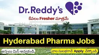 Dr Reddy's Fresher Jobs In Hyderabad| Success Drive Naukari Job Alerts Shine Freshers World Jobs