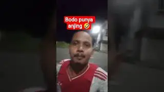 bodo la kau ni 🤣 #trending #virelshorts #foryou #anjing
