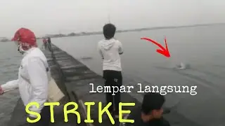Jarang Terjadi seperti ini |Mancing Dam pemecah ombak Semarang
