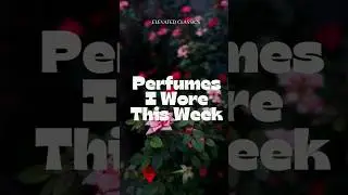 A Week in Perfume | Quiet Luxury Editions#shorts #ytshorts  #perfume #fragrance #perfumereview