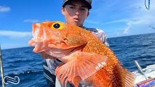 FILLING THE COOLER WITH BLACK BELLIED ROSE FISH   OUT OF HILLSBORO INLET