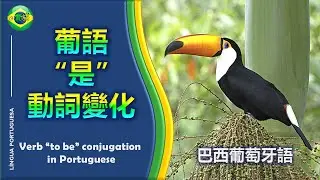 【葡語動詞 “是” 變化-現在式 | 葡语动词 “是” 变化-现在式】PORTUGUESE VERB 