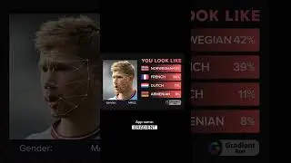 Reveal Your Multicultural Twin Searcher with Gradient