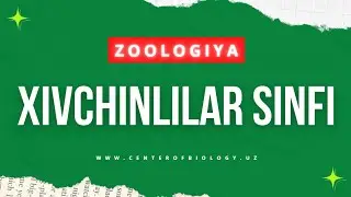 4-Mavzu: Xivchinlilar sinfi