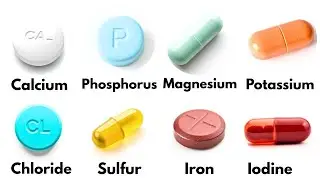 Every MINERAL Your Body Needs Explained!