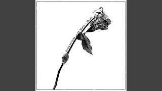 The Spirit Postmortem