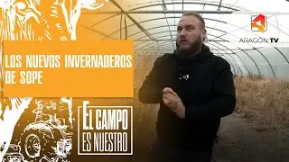 Los nuevos invernaderos de Sope