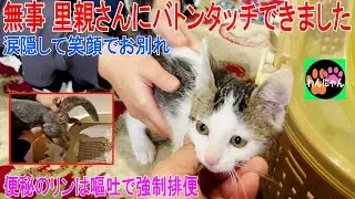 無事 里親さんにバトンタッチできました